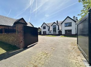 Photo 42- click for photo gallery